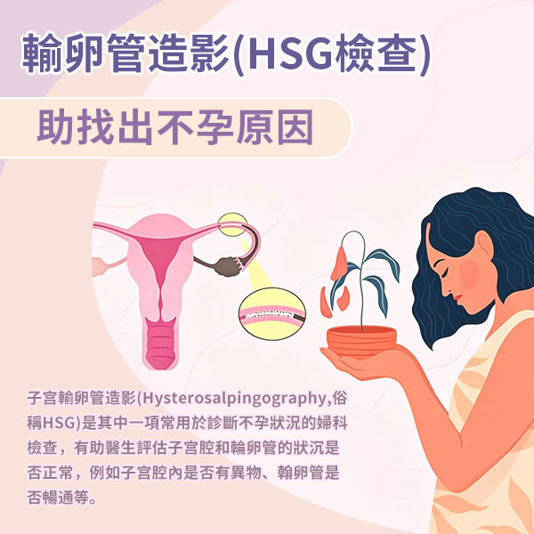 15349299.jpg 微信图片_20260701171735_877_262.jpg