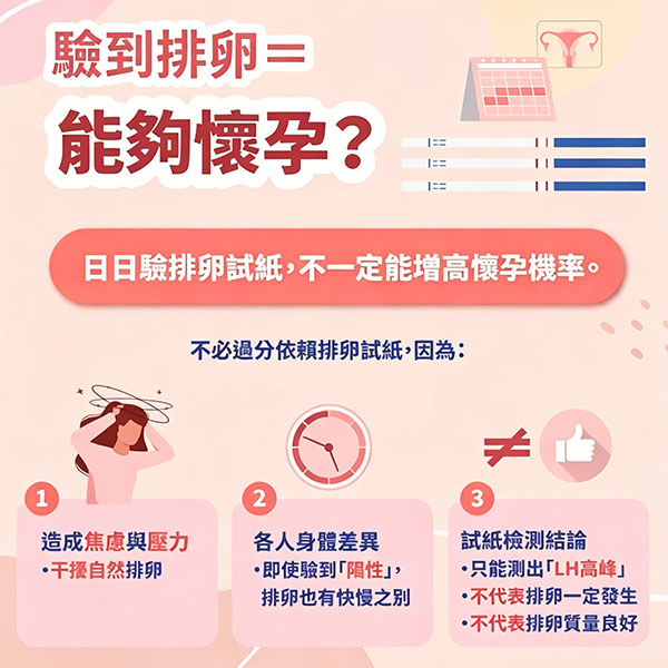 37118644.jpg 微信图片_20260701171734_876_262.jpg